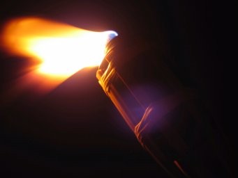 Eine Fackel im Sturm - Bild 1