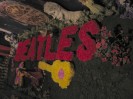 Beatles