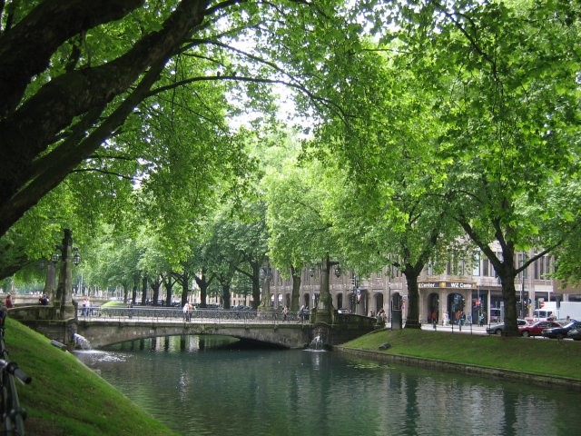 Idylle an der Königsallee