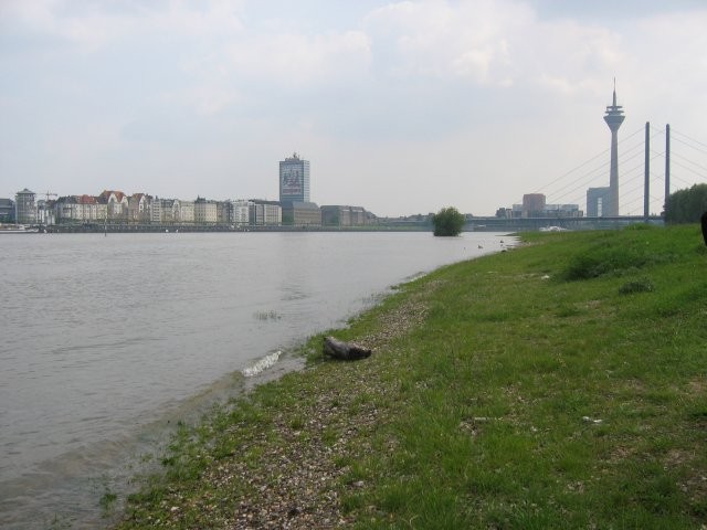 Vom Kasseler Ufer aus ...