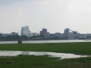 Blick übern Rhein 1
