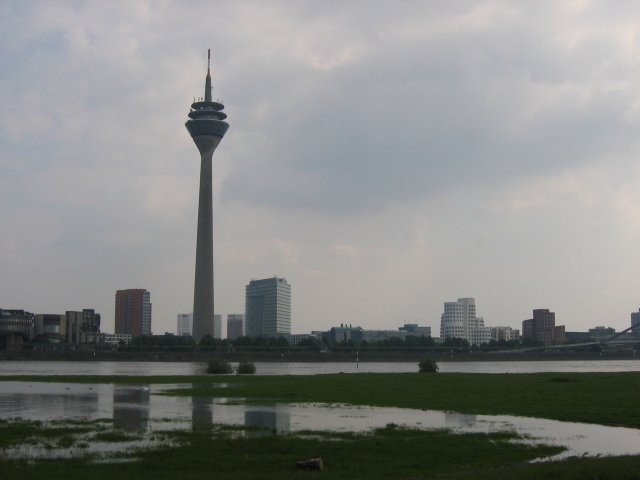Blick übern Rhein 2