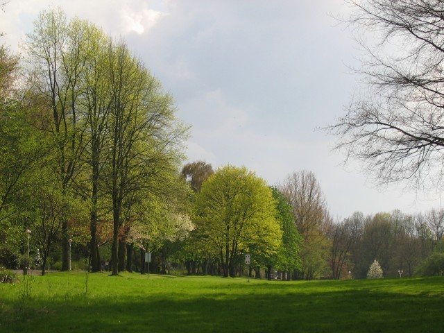 Wald