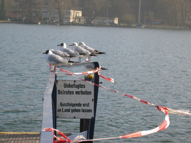 Nicht alle halten sich an die Regeln