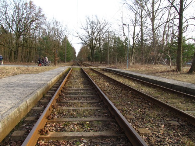 Straßenbahngleise am Strandbad Müggelsee