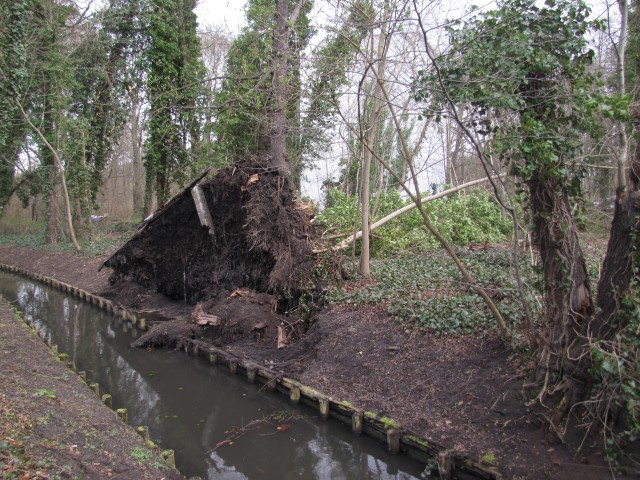Treptower Park - Herausgerissenes Ufer 1