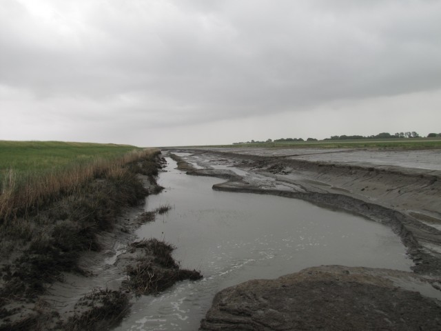 Erlebnispfad bei Langewarden 2