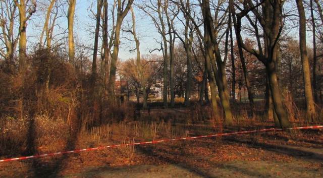 Neubepflanzung (Treptower Park)