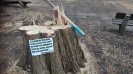 IMG_20160306_134139