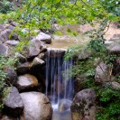 DSCF1718
