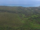 Fiji - Inlandsflug, Taveuni, Kokosplantage in Welagi
