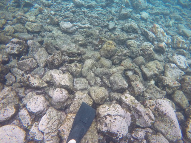 Taveuni: Bobbys Farm 21 (Wasser)