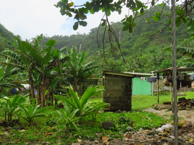 Taveuni: Lavena Coastal Walk 7