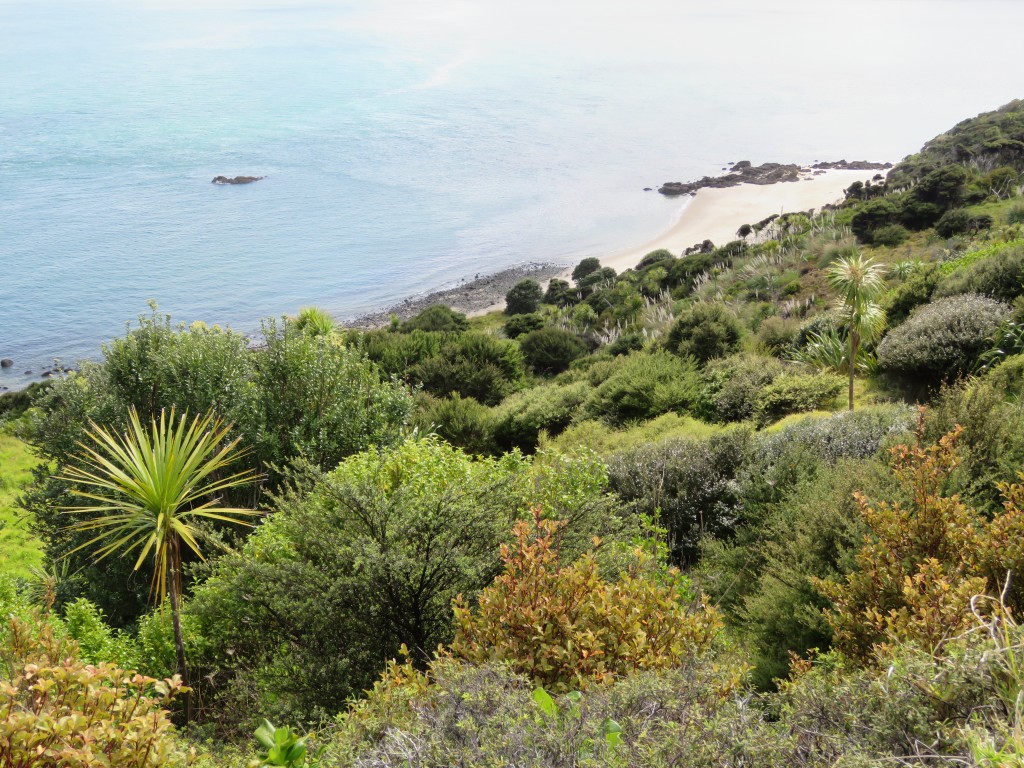 NZ: Hokianga Harbour 3