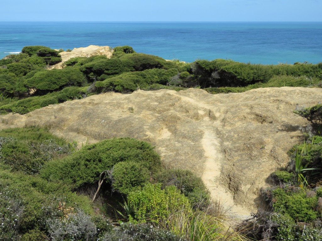 NZ: Hokianga Harbour 4