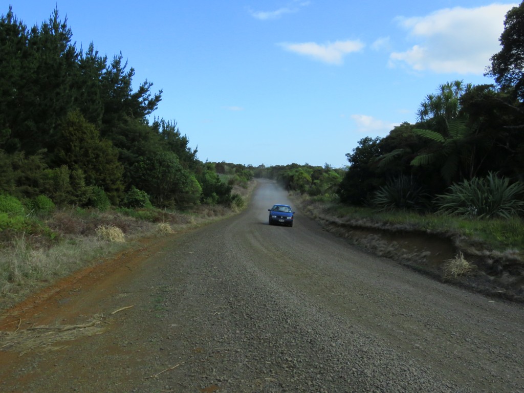 NZ: Waipoua Gravel Road