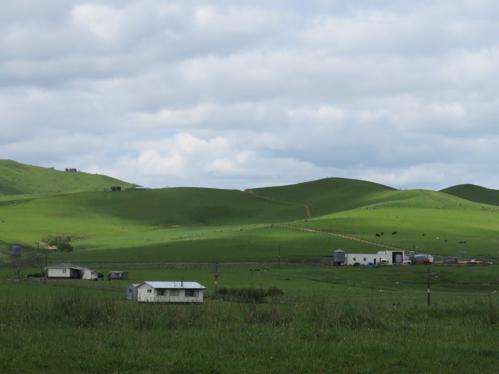 NZ: Hügeliges Land