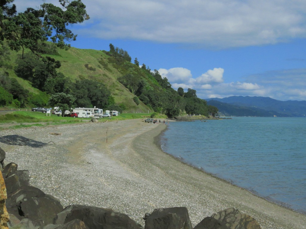 NZ: Coromandel Küste 2