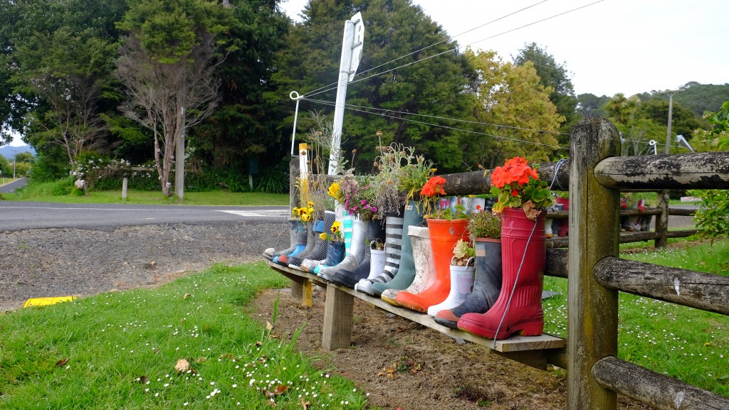 NZ: Coromandel Garden Center