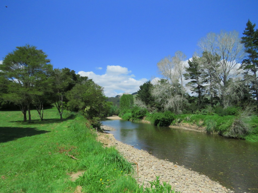 NZ: Coroglen Waiwawa River