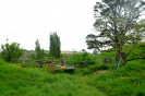 Hobbiton-Tour 011