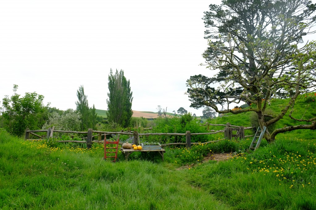 Hobbiton-Tour 011
