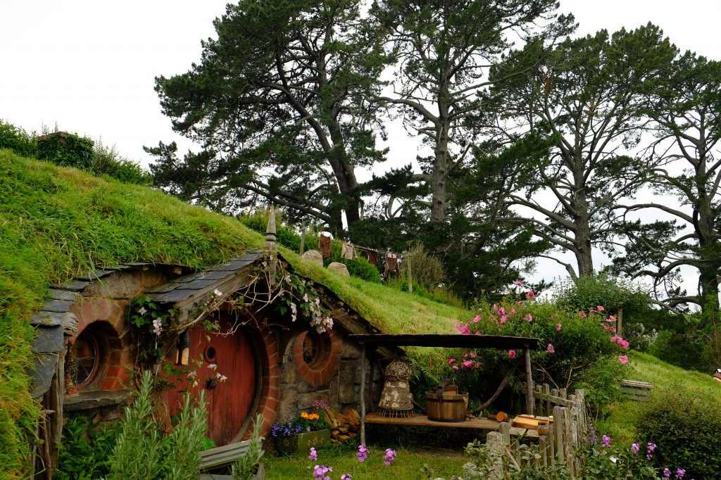 Hobbiton-Tour 016