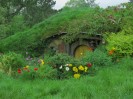 Hobbiton-Tour 022