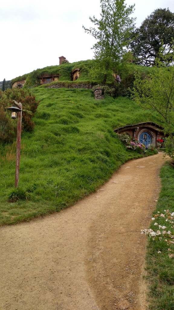 Hobbiton-Tour 036