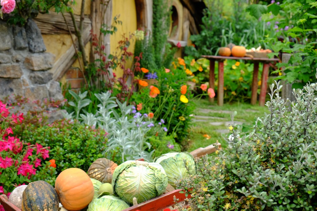 Hobbiton-Tour 047