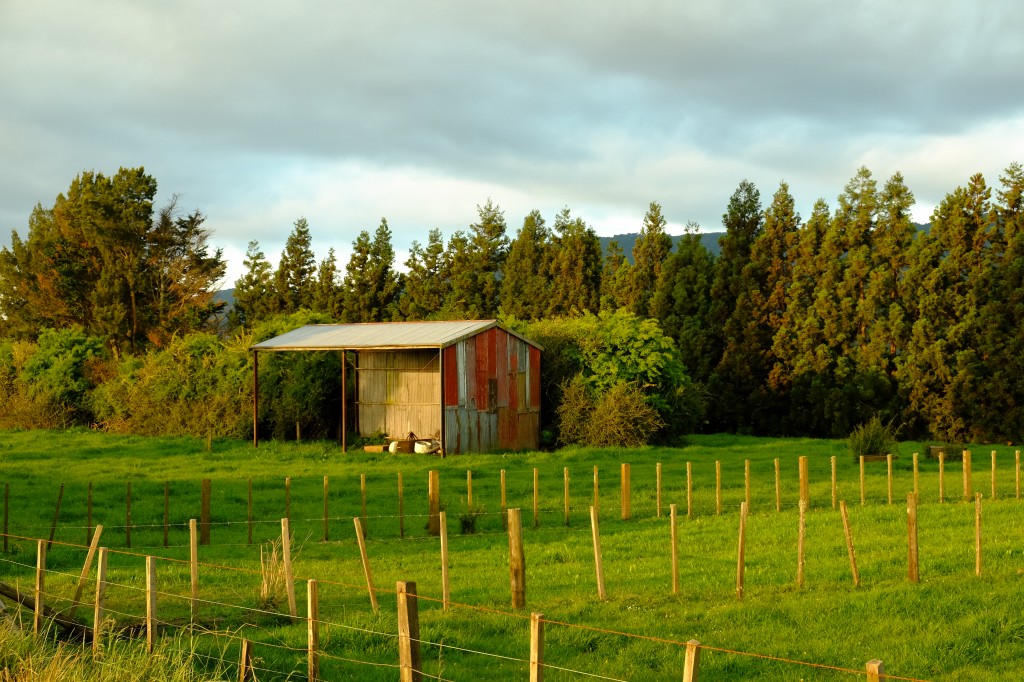 NZ: Sonnenuntergang bei Okauia 005
