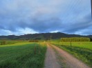 NZ: Sonnenuntergang bei Okauia 035