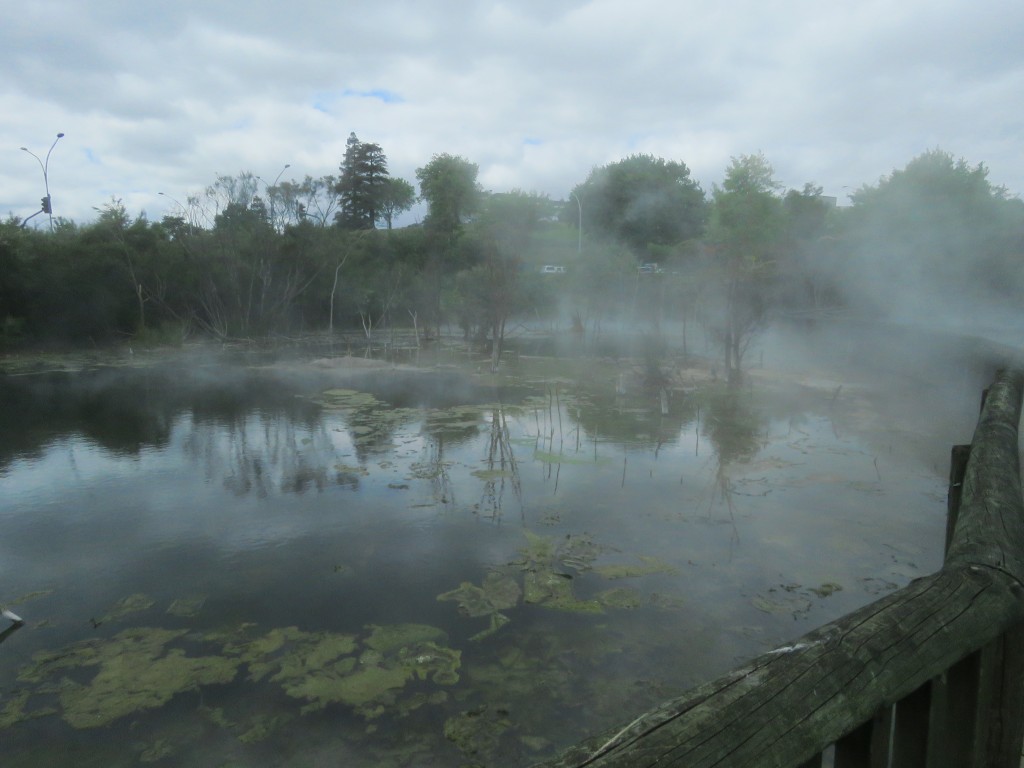 NZ: Kuirau Park 012