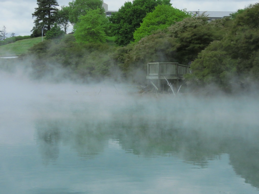 NZ: Kuirau Park 014