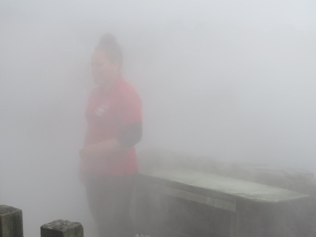 NZ: Whakarewarewa - Nebel