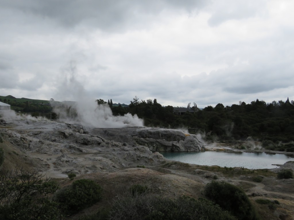 NZ: Whakarewarewa - Gaysir