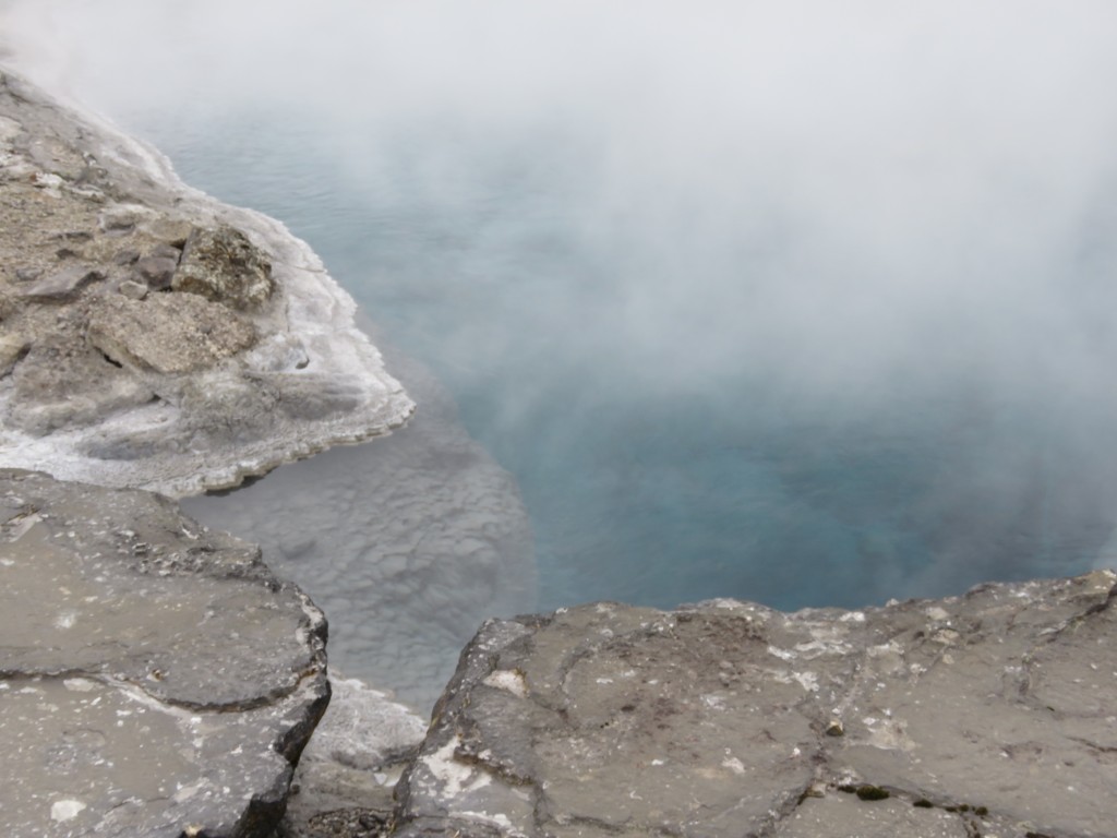 NZ: Whakarewarewa - Dampf 2