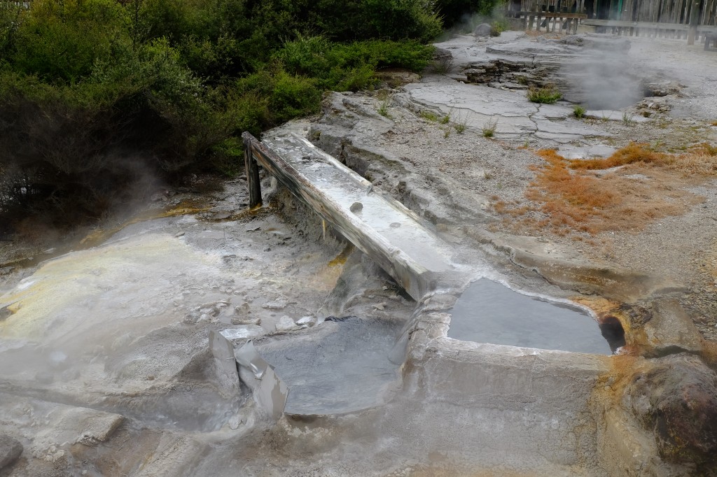 NZ: Whakarewarewa - Siedlung 4