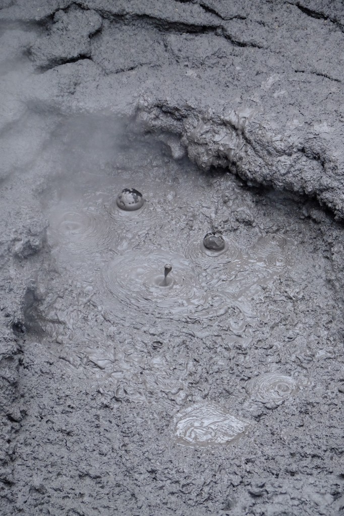 NZ: Whakarewarewa - Mud Pool