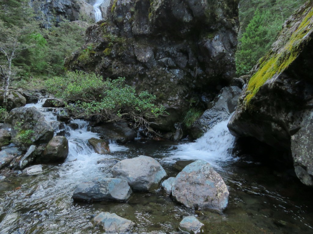 NZ: Waitonga Falls 9