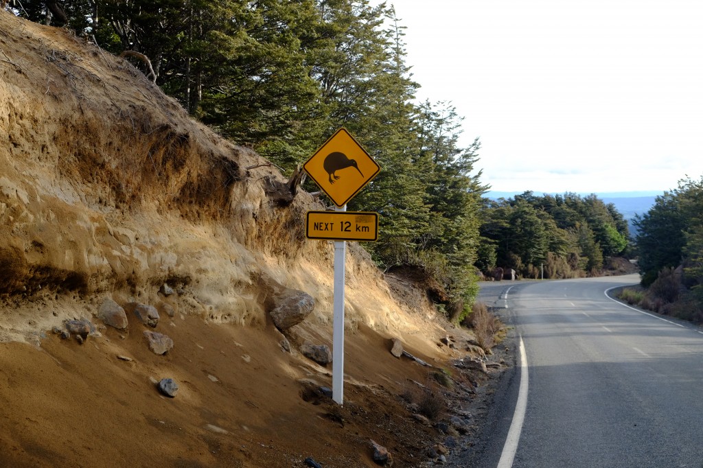 NZ: Mangawhereo-Wasserfall 4 -Kiwi