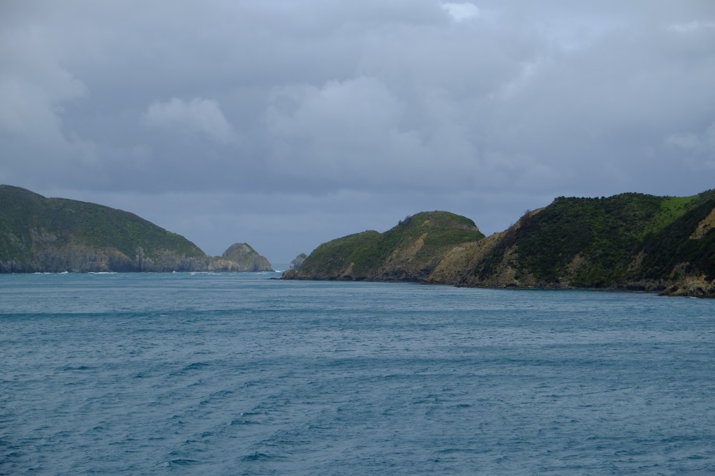 NZ: Tory-Channel 5