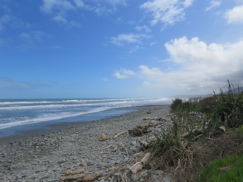 NZ: Barrytown 1