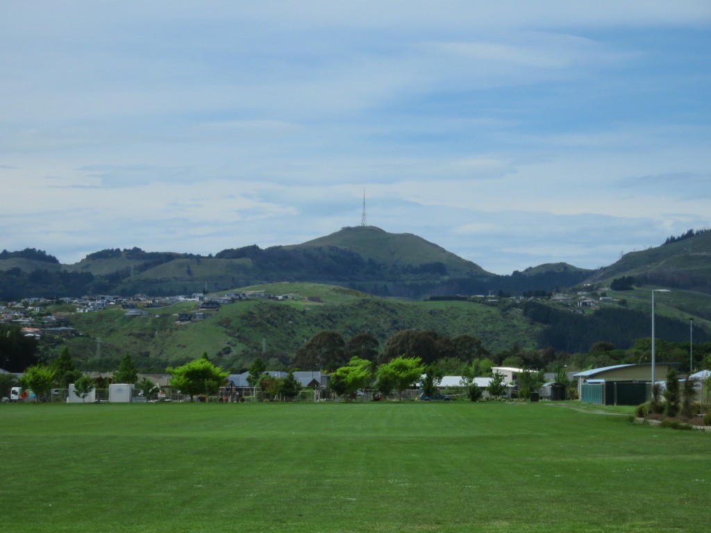 NZ: Christchurch Halswell Domain 1