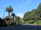 NZ: Auckland - Albertpark im Frühling 004