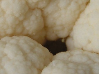 Preisfrage Nummer 16 - Was ist das? - Bild 1