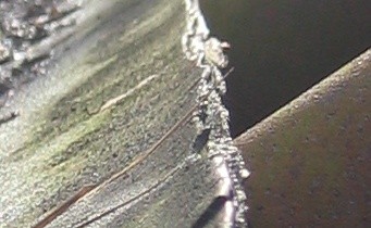 Preisfrage Nummer 22 - Was ist das? - Bild 1
