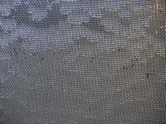 Preisfrage Nummer 24 - Was ist das? - Bild 2