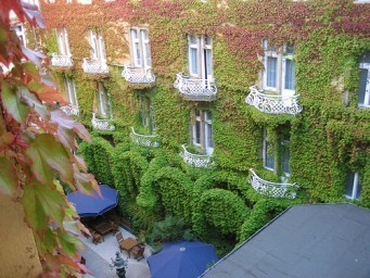 Der Herbst wird kommen - Bild 1