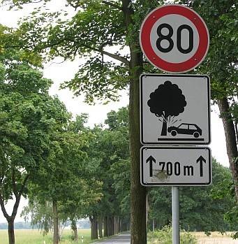 Unbekanntes Verkehrszeichen: Auto rast auf Baum - Bild 1